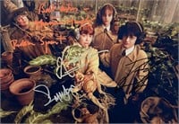 Autograph COA Harry Potter Photo