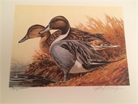 Wisconsin Duck Stamp & Print By William Koelpin