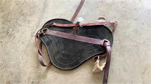 Saddle pad and breast collar