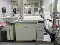 Gas Chromatograph