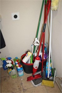 SELECTION OF CLEANING PRODUCTS AND UTENSILS