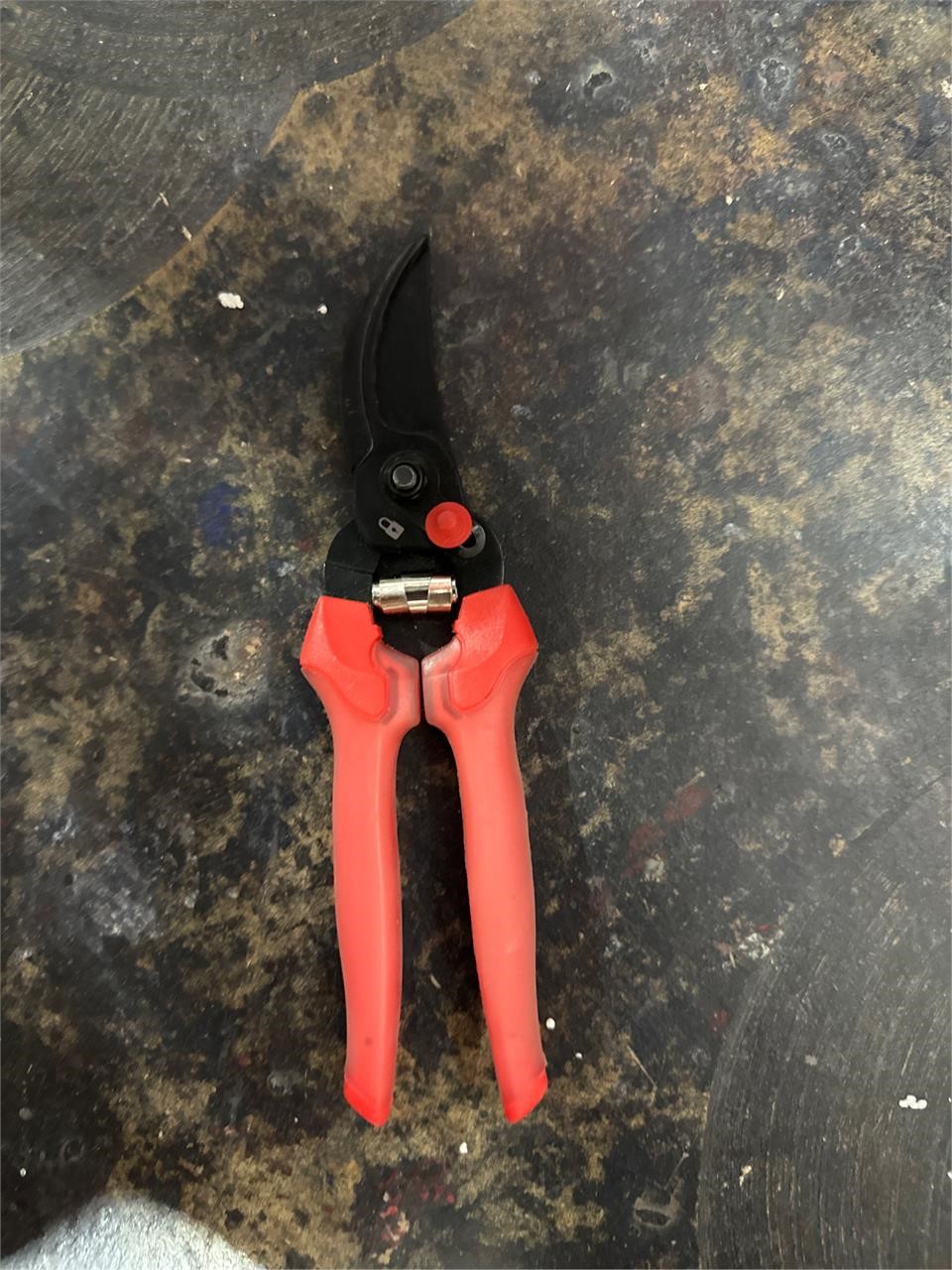 $15  Shears