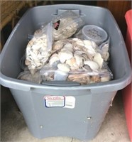 Large Shell Assortment, 18-gallon Tote