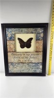 Butterfly Picture, Framed 19.5" x 23.5"