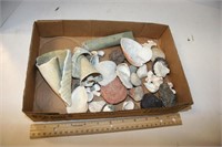 Sea Shells & Rocks