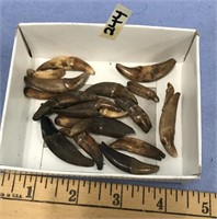 Small lot of fossilized teeth   (a 7)