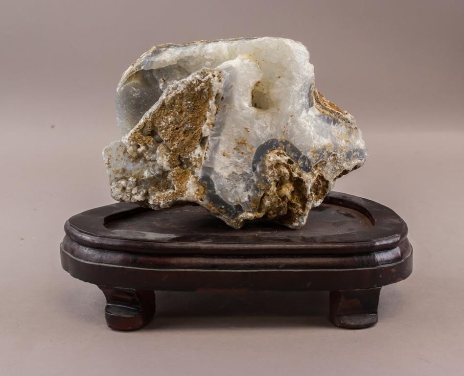 Natural Fossil Mineral Stone with Wood Stand