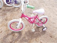 Strawberry Shortcake Girl's Bicycle w/