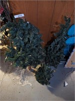 (3) Christmas Trees