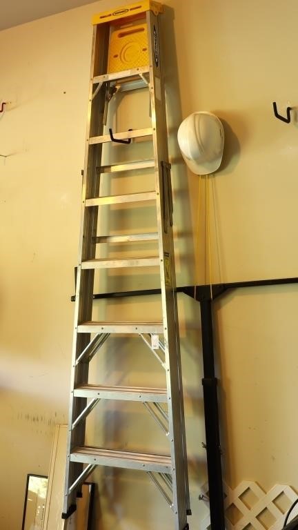 Werner Aluminum 8 ft ladder