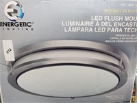 Energetic Lighting 14 IN LED Flush Mount Frosted