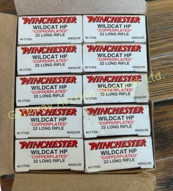 Winchester Wildcat HP 22 Long Rifle Copperplated