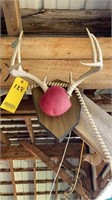 Vintage Antler Mount