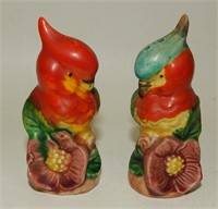 Vintage Colorful Tropical Birds on Hibiscus