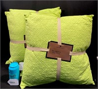 Apple Green Set of 4 Down Pillows By Newport