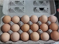 18 farm fresh brown eggs