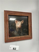 PIG FRAMED BARN BOARD PICTURE
