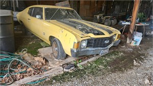 Chevelle Ss will be sold in the next auction