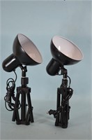 Pair of Photography Lights w/ Stands