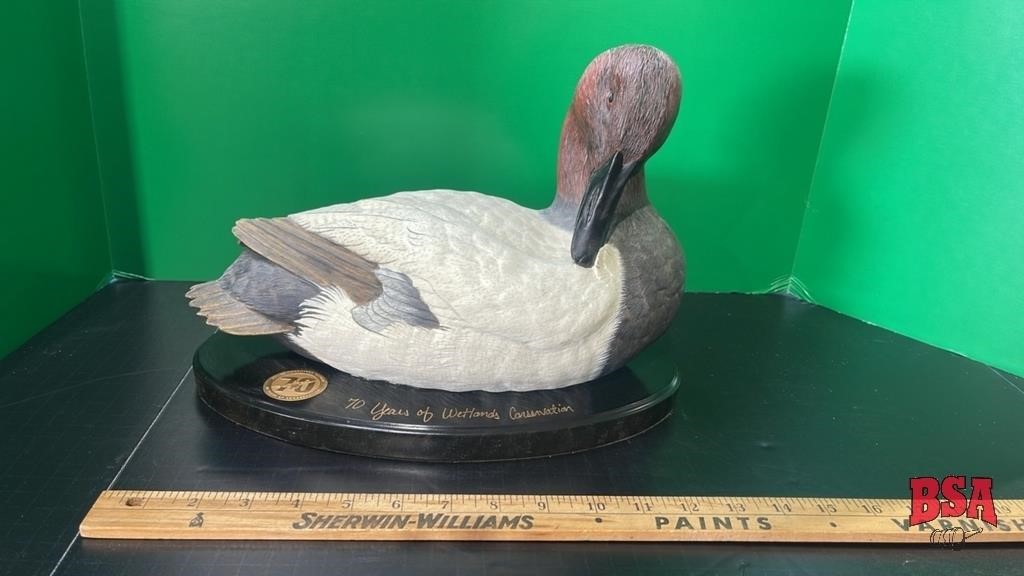 Canvas Back Duck on a Plaque