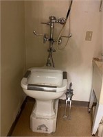 Entire handcap toilet system with rails