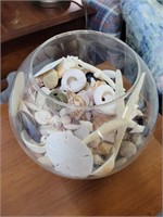 Bowl of Shells