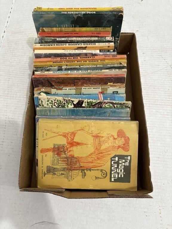 Box of Vintage Paperback Books
