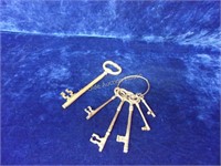6 Pcs Large Brass Castle Keys