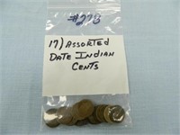 (17) Assorted Date Indian Cents