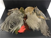 Collection of feather pelt pieces
