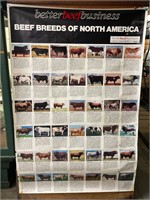 Beef Breeds of North America Poster