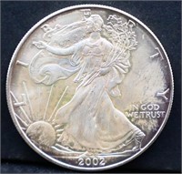 2002 silver eagle coin