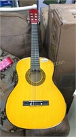 Acoustic Youth Guitar