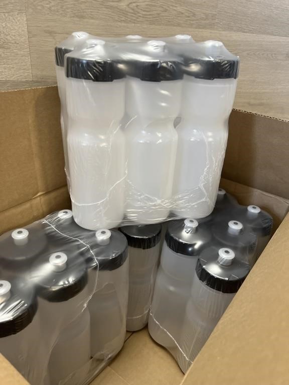 Case of 24 Water Bottles