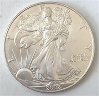 2002-WP Silver Eagle