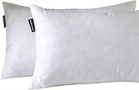 Basic Home14x24 Decorative Throw Pillow Inserts-