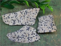 DALMATION JASPER ROCK STONE LAPIDARY SPECIMEN