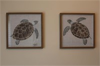 (2) Turtle pictures