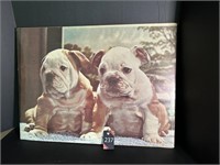 Bulldog Picture 23" W x 17" H