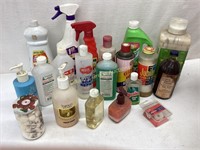 Assorted Cleaning Supplies