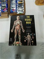 Vintage "The visible man" assembly kit