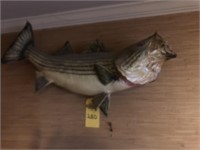 Fish Mount