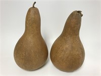 2 large Gourds