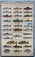 WESTERN GAME FISH IDENTIFICATION CHART