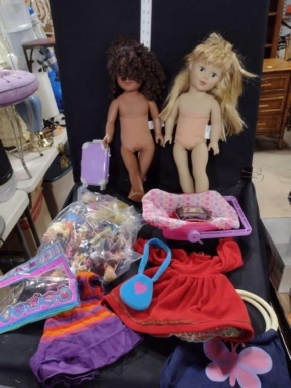 Two Lrg Dolls & Mini Dolls Lot