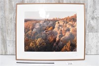 "Garden of the Gods" Framed Picture by Chris Young
