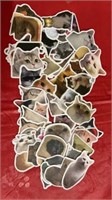 50 funny cats assorted stickers