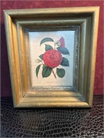Vintage framed flower print