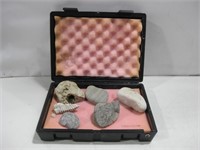 Assorted Rocks & Fossils W/ Case Pictured