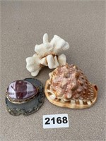 Seashells / Coral / and a Carved Koala Bear Shell